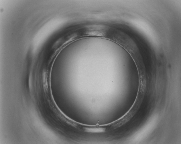 X0000083531487200702161900