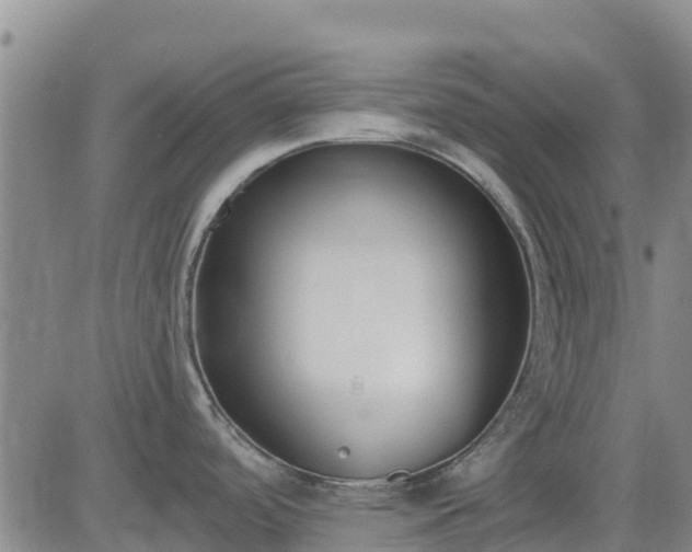 X0000083531488200702161859