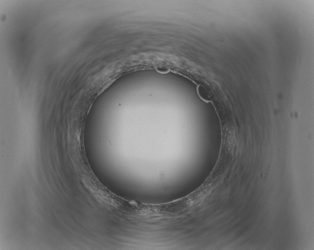 X0000083531489200702161859