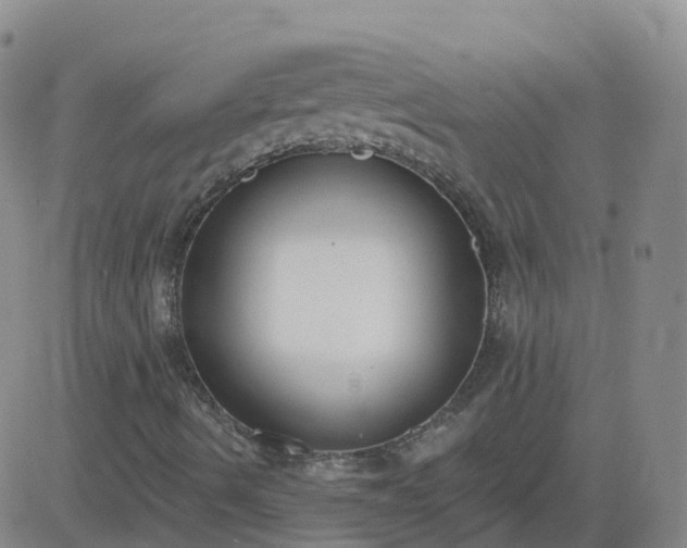 X0000083531490200702161859