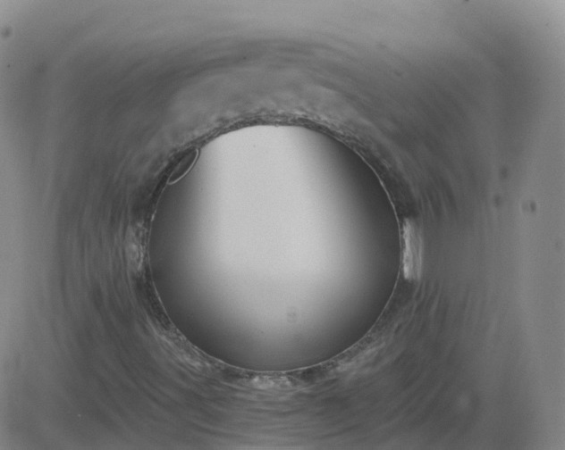 X0000083531491200702161859