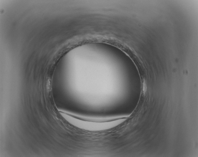 X0000083531492200702161859