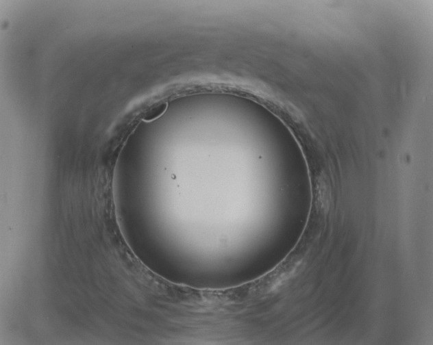 X0000083531494200702161859