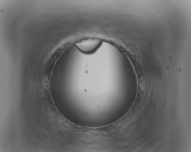 X0000083531495200702161859