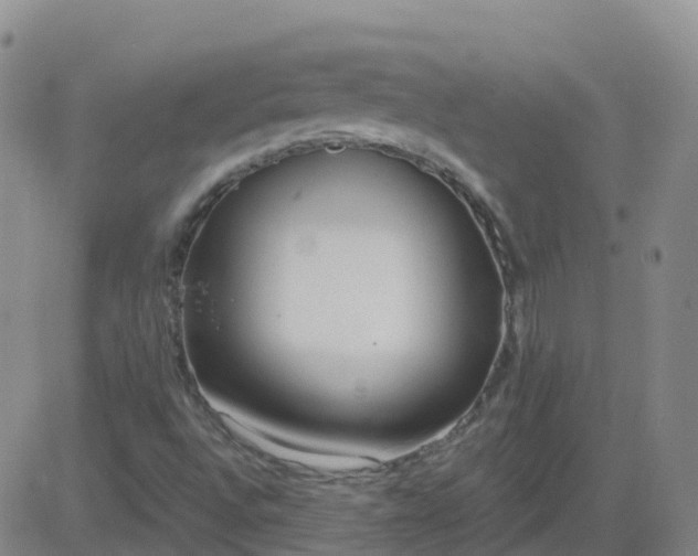 X0000083531496200702161859