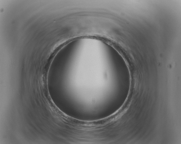 X0000083531497200702161859