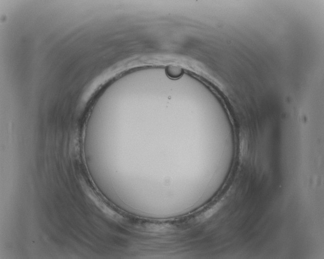 X0000083531498200702161859