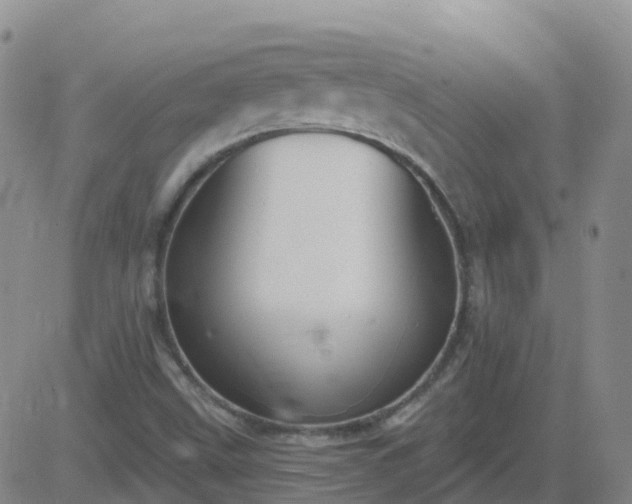 X0000083531499200702161859