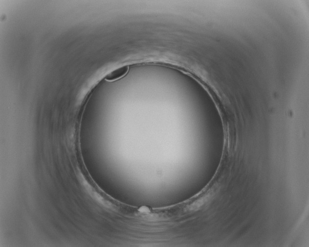 X0000083531500200702161859