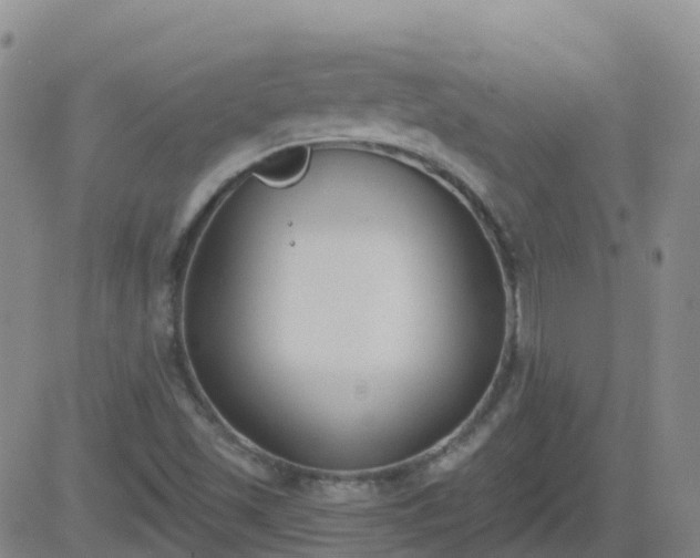 X0000083531501200702161859