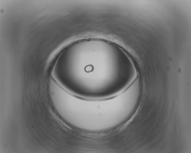 X0000083531502200702161859