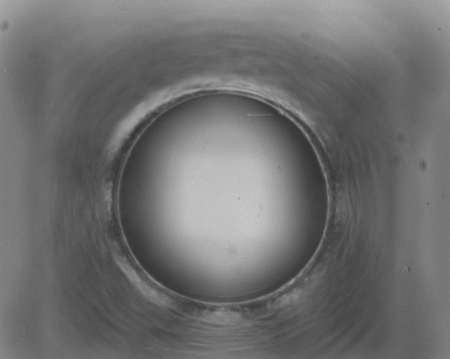 X0000083531503200702161859