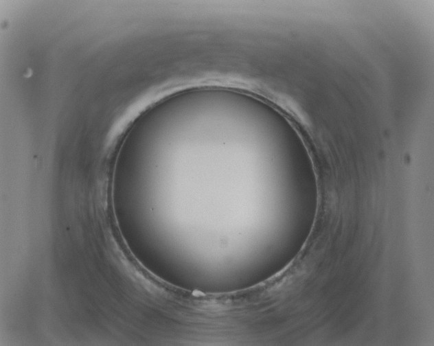 X0000083531504200702161859