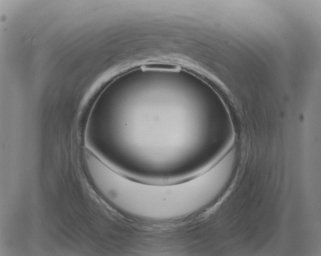 X0000083531506200702161859