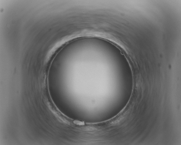 X0000083531507200702161859