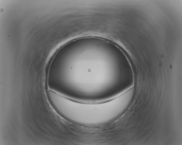 X0000083531508200702161859