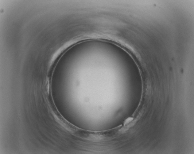 X0000083531509200702161859