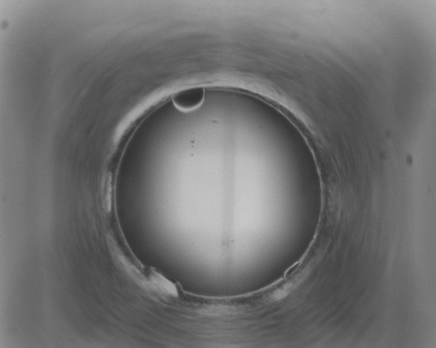 X0000083531510200702161859