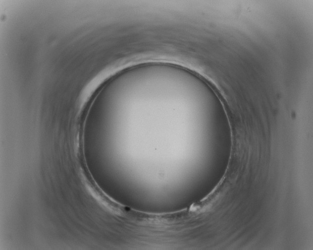 X0000083531511200702161859