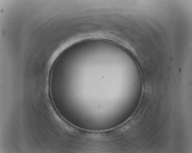 X0000083531512200702161859