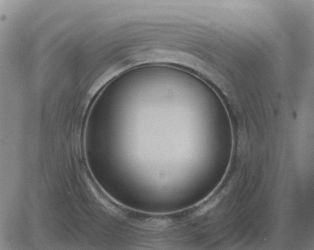 X0000083531513200702161859