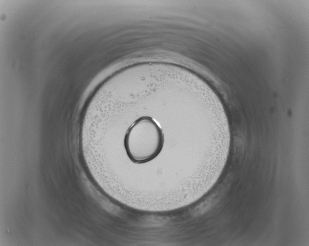 X0000083531514200702161859