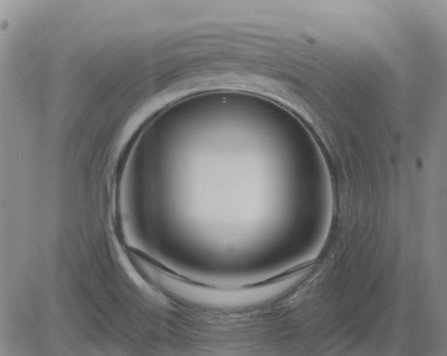 X0000083531515200702161859