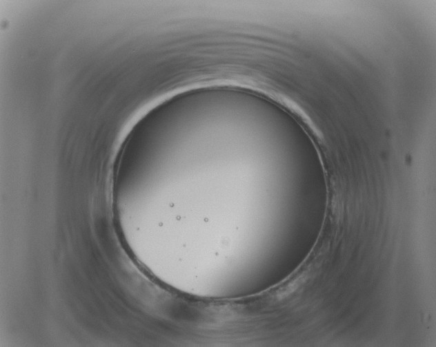 X0000083531516200702161859