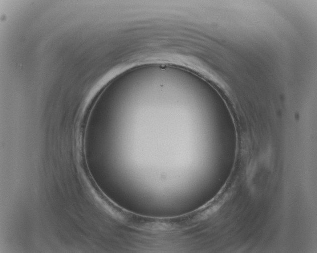 X0000083531517200702161859