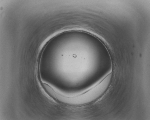 X0000083531518200702161859