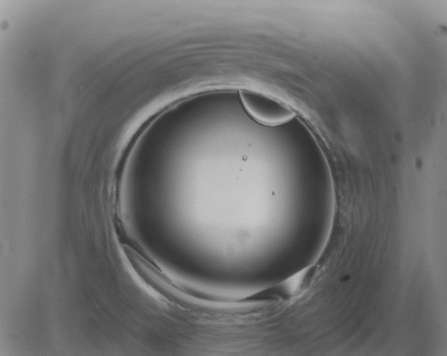 X0000083531519200702161859