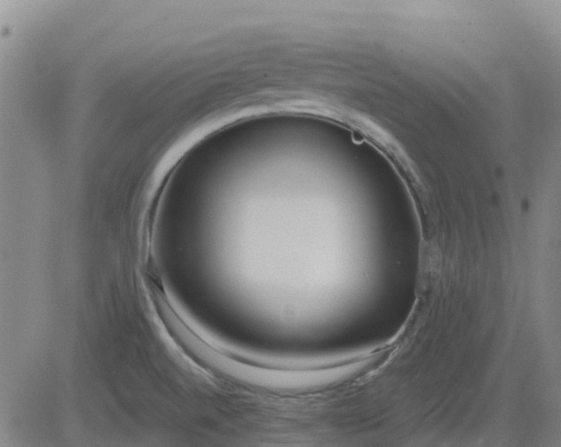 X0000083531520200702161859