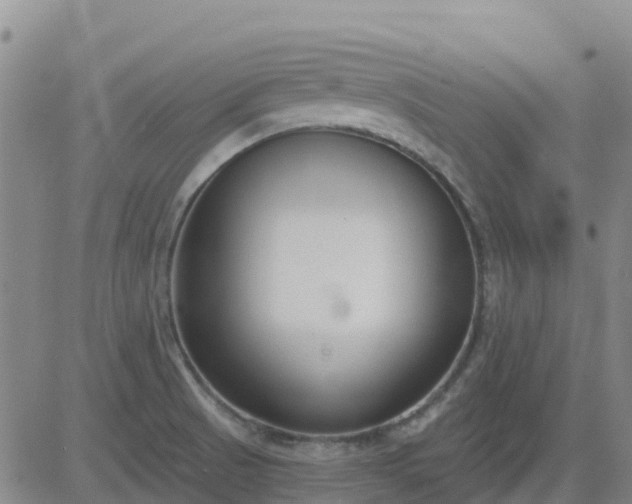 X0000083531521200702161859