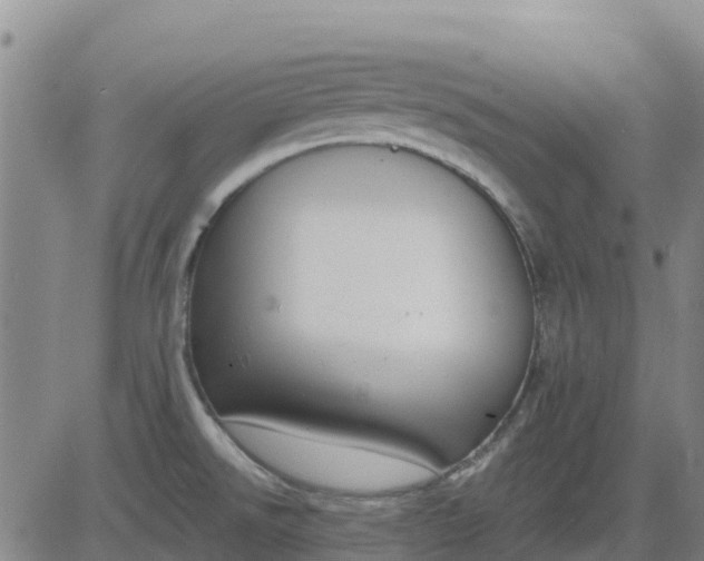 X0000083531526200702161859