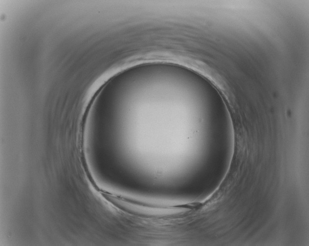 X0000083531527200702161859