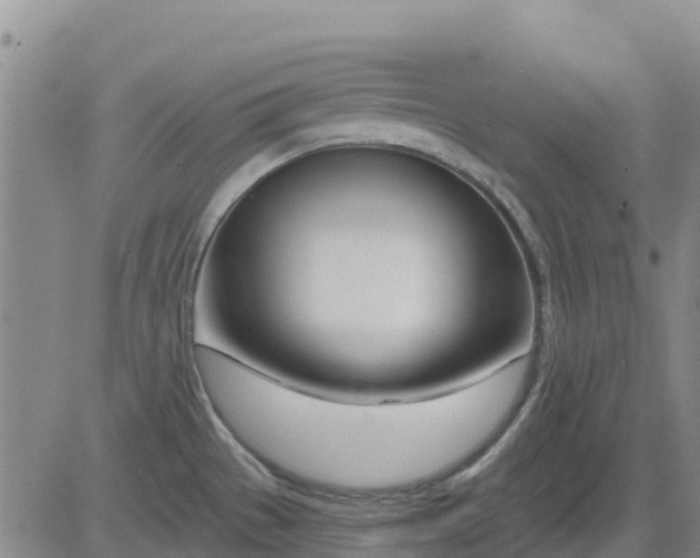 X0000083531529200702161859