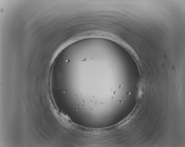 X0000083531530200702161859