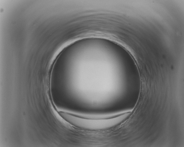 X0000083531531200702161859