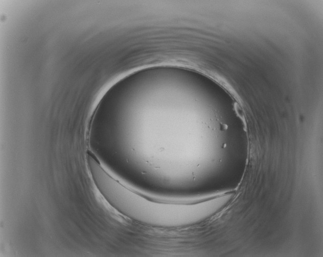 X0000083531532200702161859