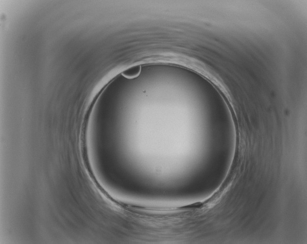 X0000083531533200702161859