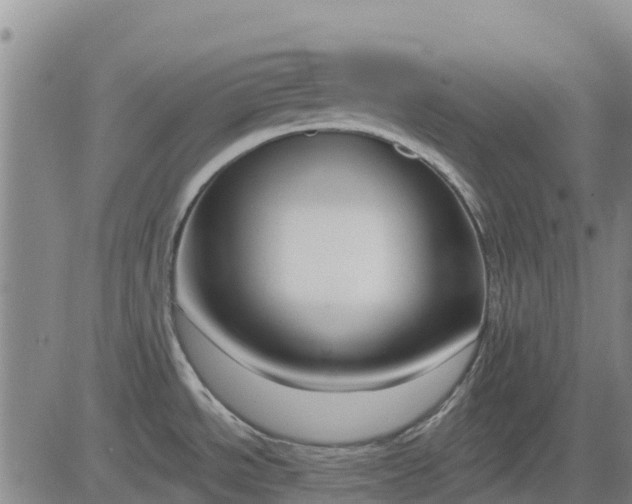 X0000083531534200702161859