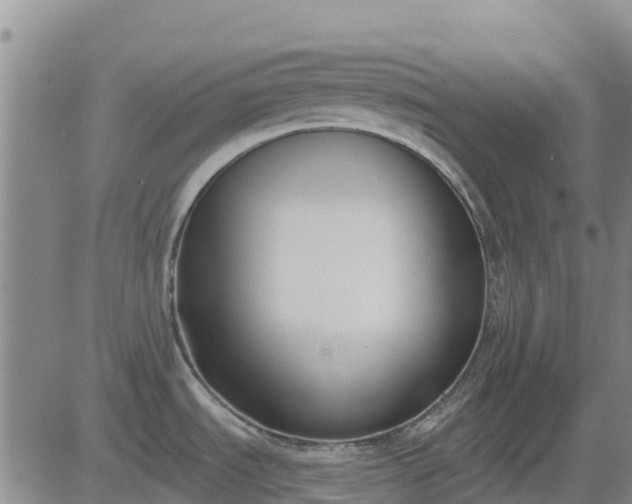 X0000083531535200702161859