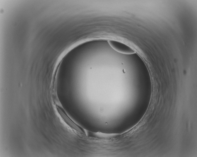 X0000083531536200702161859