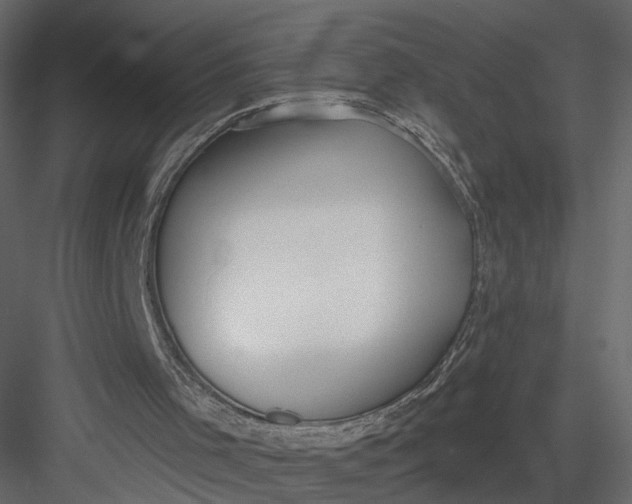 X0000083530001200702240030