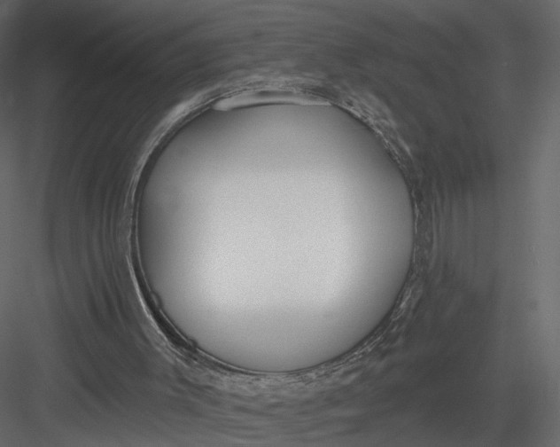 X0000083530003200702240030