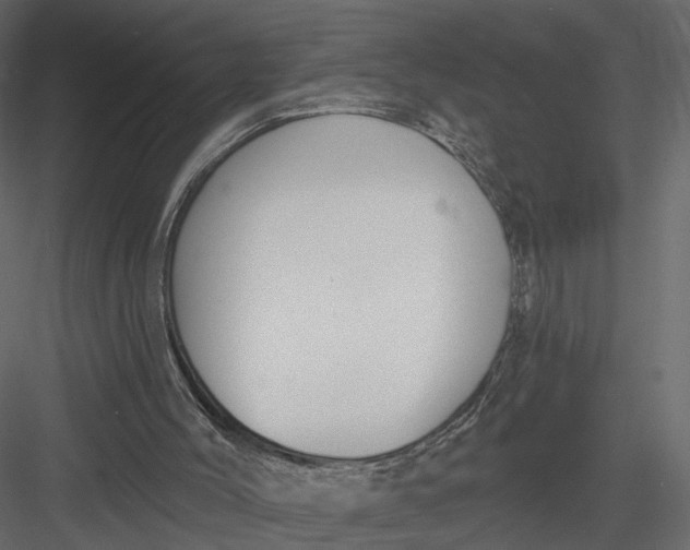 X0000083530004200702240030