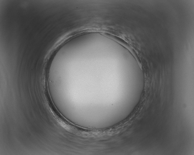 X0000083530005200702240030