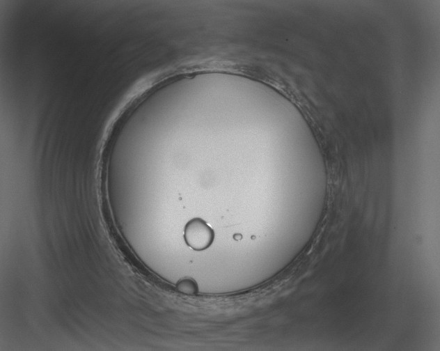 X0000083530006200702240030