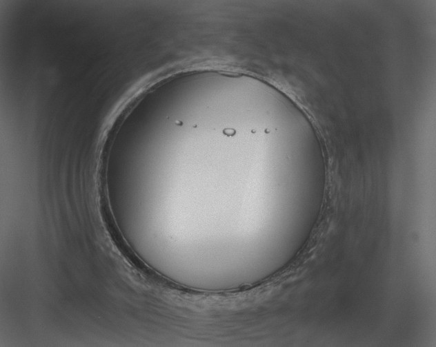 X0000083530007200702240030