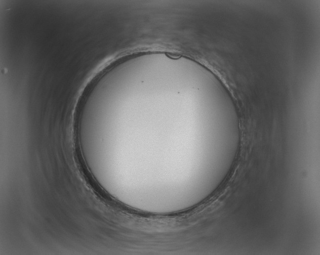 X0000083530008200702240030